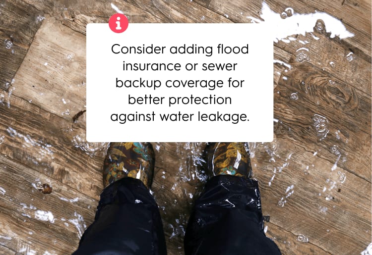 Exclusions and Limitations for Water Damage in Home Warranties Exclusions and Limitations for Water Damage in Home Warranties