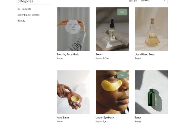 GoDaddy eStore